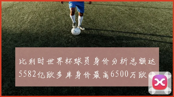 比利时世界杯球员身价分析总额达5582亿欧多库身价最高6500万欧