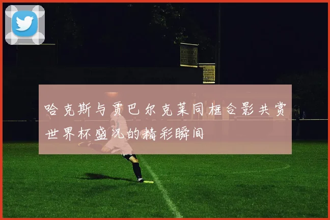 哈克斯与贾巴尔克莱同框合影共赏世界杯盛况的精彩瞬间